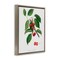 Stupell Industries Latin Study of Cherry Plant Floating Frame, design by Lettered and Lined